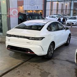 بي واي دي ديستروير 05